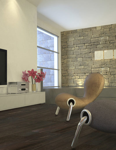 Modern room with plasma TV